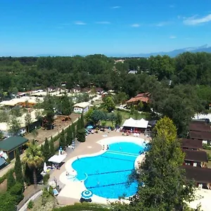 Kemp Paradiso, Viareggio